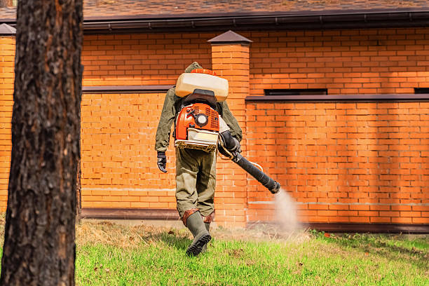 Trusted Fumigation Services service in Susan Moore, AL - Nex Pest Control